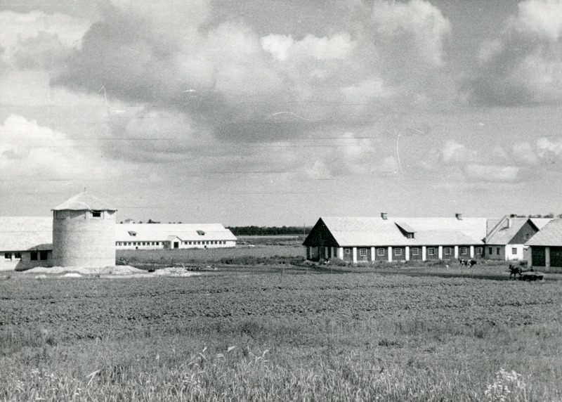 Ubja sovhoosi loomalaudad