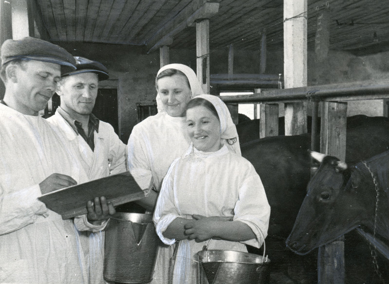 Vanemzootehnik E.Mürkes(vasakul), brigadir H.Aasmaa, lüpsjad H.Saaremaa S.Kudrjaševa