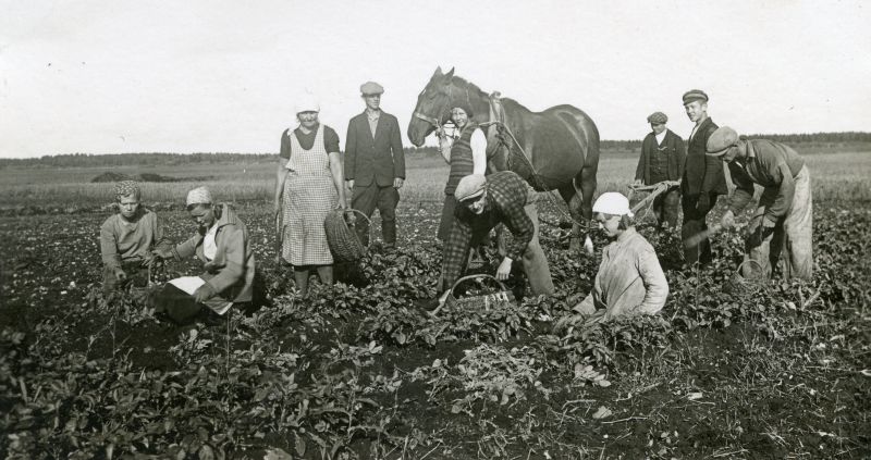 Tutvumine erinevate põllutöödega