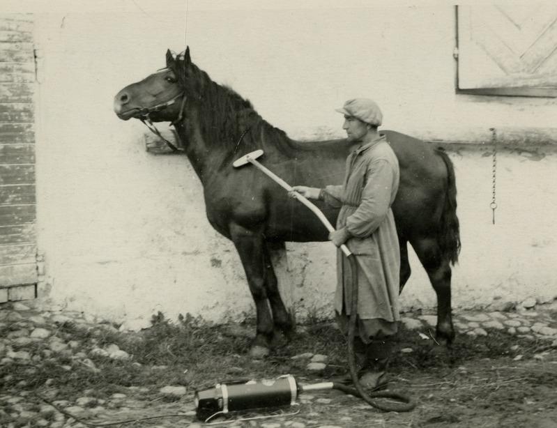 Vanemtallimees W.Waal hobust puhastamas tolmuimejaga Sõmerpalu sovhoosis