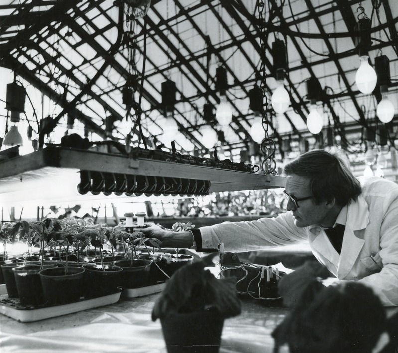 Kasvuhoonetaimede kiiritamise mõõtmine