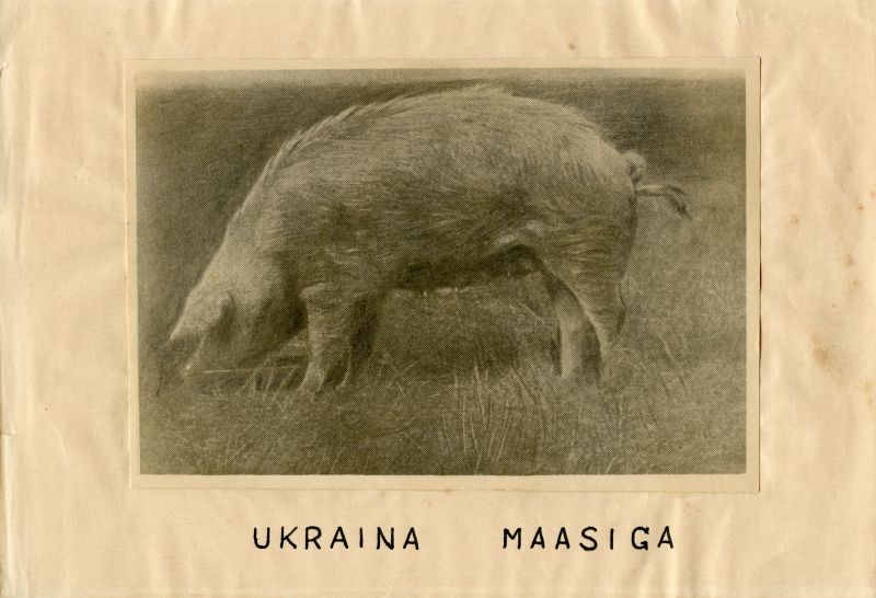 Ukraina maasiga