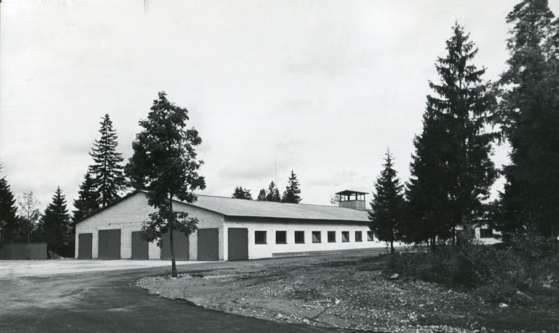 Kolhoosi "Bolševik" veiselaut