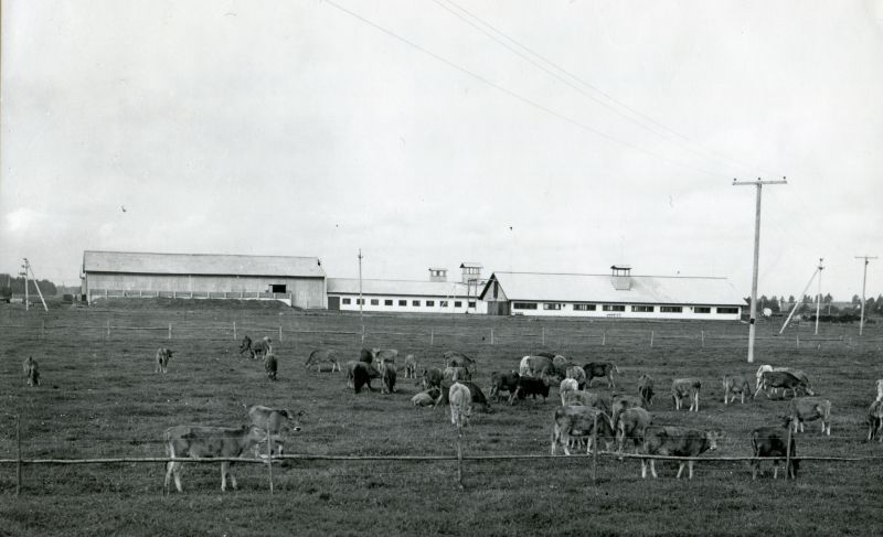 "Edasi" kolhoosi veiselaut