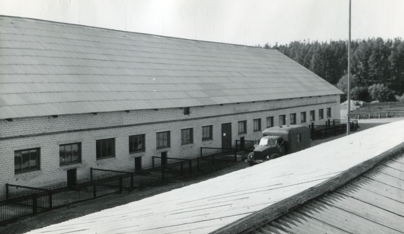 Tammistu kolhoosi sigalad