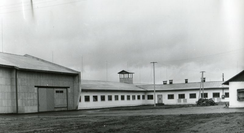 "Tee Kommunismile" kolhoosi Aardla osakonna veiselaut