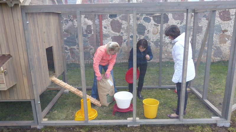 Liina Marandi, Kaire Ilula ja Marje Võsso valmistuvad kanade vasuvõtmiseks muuseumi perre