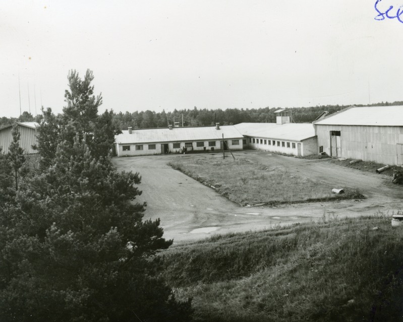 Nõva kolhoosi piimafarm