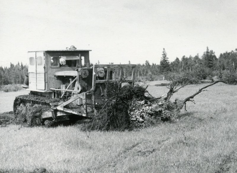 Saida sovhoos. Uudismaal kändude juurimine