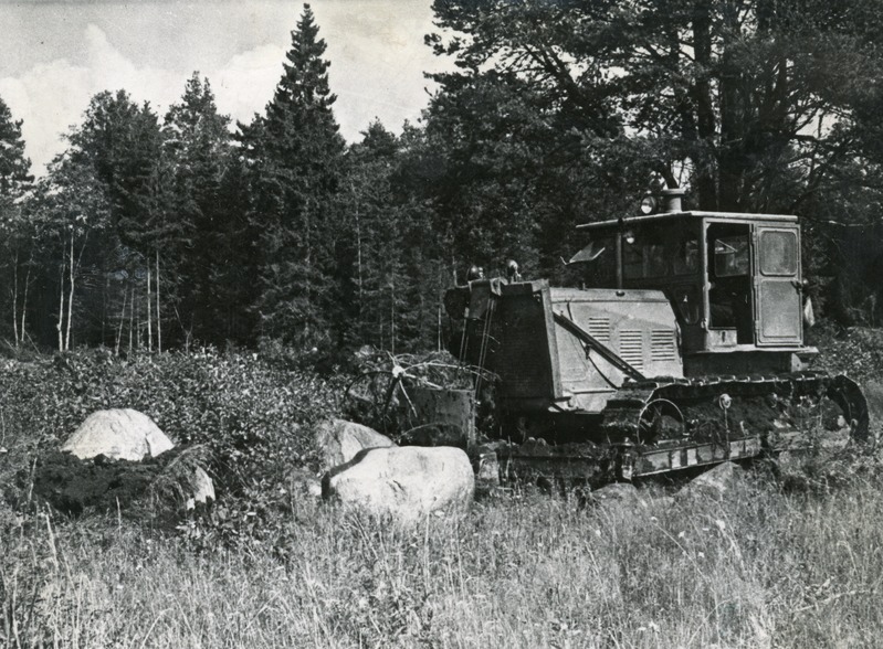 Tori Näidissovhoos. Kivide koristamine ja kändude juurimine