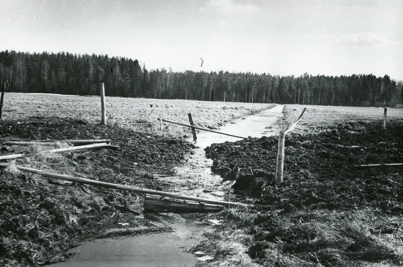 Paisutus kogujakraavis