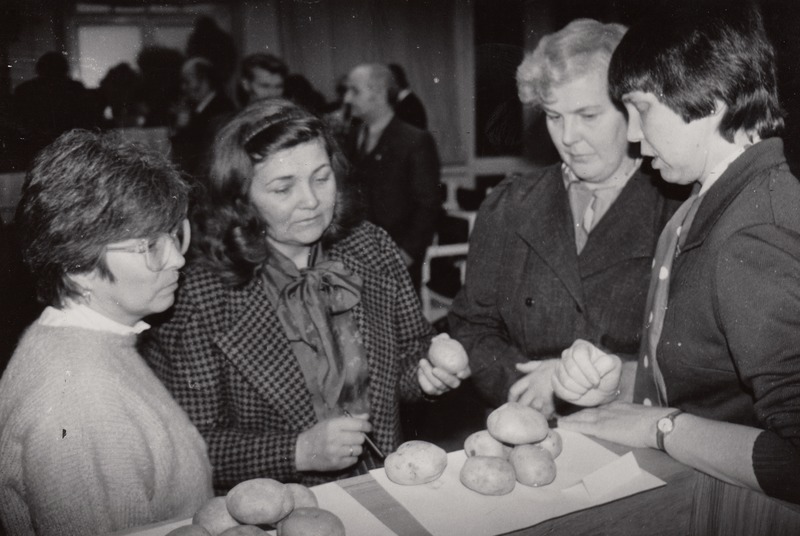 Riikliku Sordikatsete Inspektuuri fütopatoloog Marje Kaupmees (vasakult), Riikliku Ettevõtte "Evika" direktor Viive Rosenberg, Saue sordiaretuspunkti agronoom Kaia Joost ja Viljandi sordikatsepunkti agronoom Helve Türk