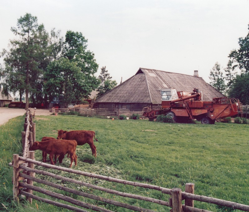 Kaara talu karjaaed Valgamaal
