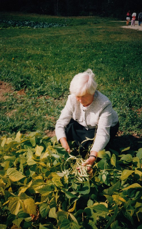 Jõgeva Sordiaretuse Instituudi teadur Maia Raudseping näitab aedube "Vaia"