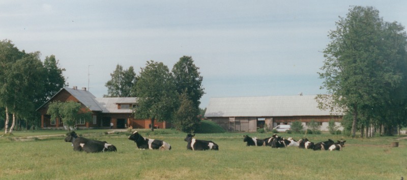 Järvamaal Kolu valla Takkasaare talu elamu ja esimene laut, kus nüüd asub lüpsikoda