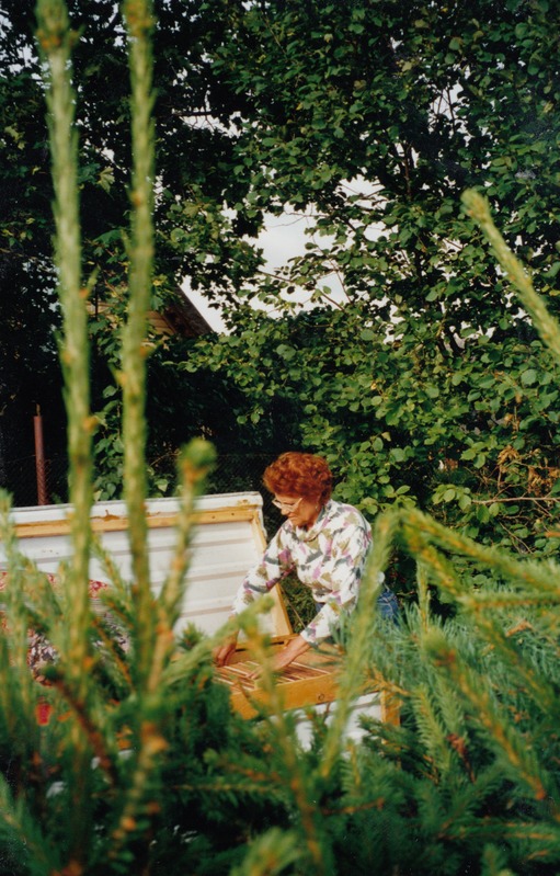 Kärra mesindustalu perenaine Leili Suits mesilasi vaatamas