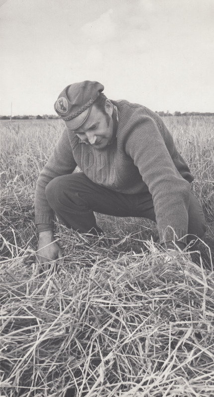 Aruküla kolhoosi peaagronoom Rein Koch kontrollib, kas põhku on jäänud palju teri