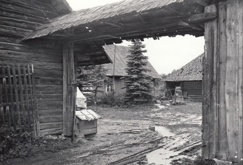 Rikaste talu Põlvamaal, kus elavad Marika ja Arvo Kiviland