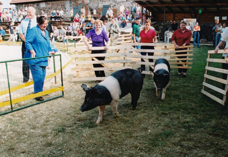 Sügisnäitus ja Tõuloom 2002 Eesti Põllumajandusmuuseumis, tõuloomade demonstratsioon