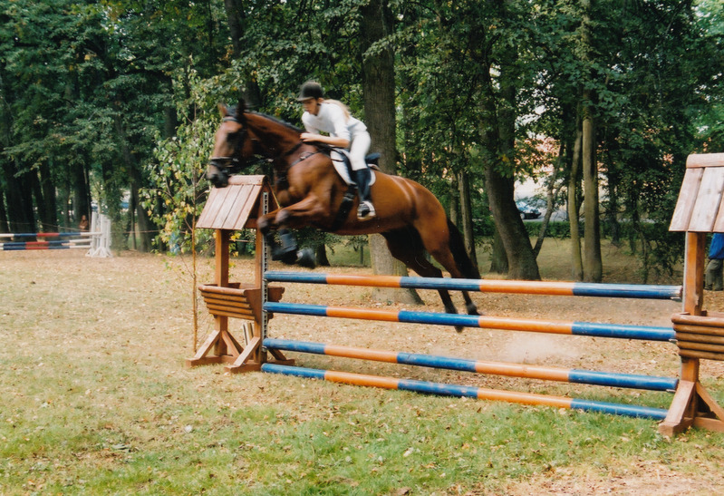 Sügisnäitus ja Tõuloom 2002 Eesti Põllumajandusmuuseumis