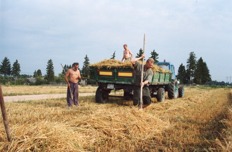 A. Kass, H. Rõivas ja A. Saar otra traktorile laadimas OÜ Erika Farm põllul