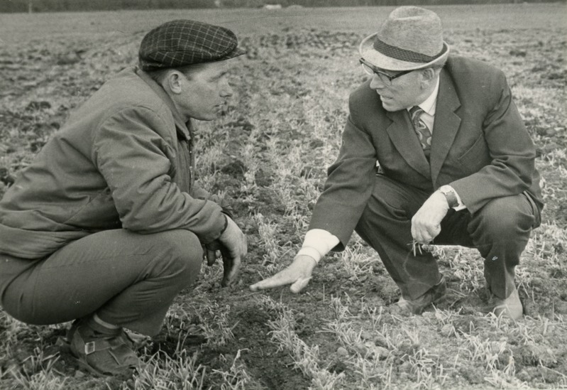 Tori sovhoosi peaagronoom A.Tõnissoo ja prof. E.Haller orase kahjustusi takseerimas