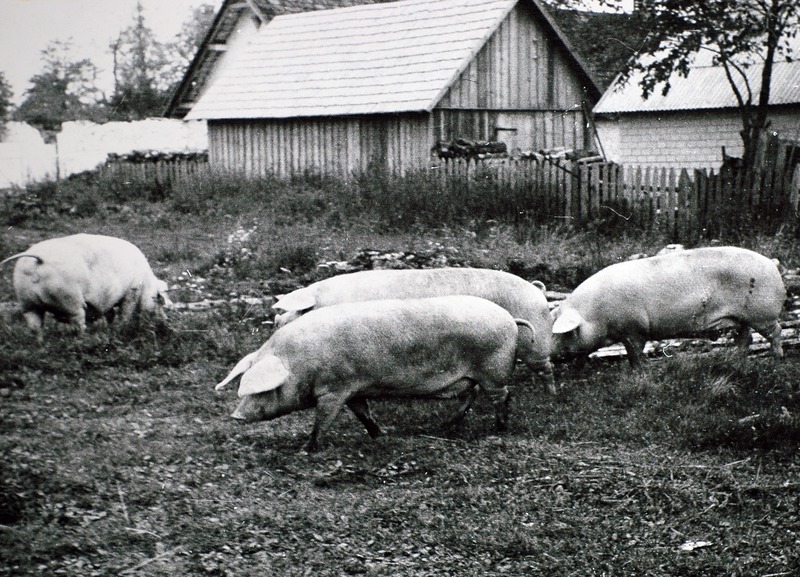 "Järvakandi" kolhoosi remontemised