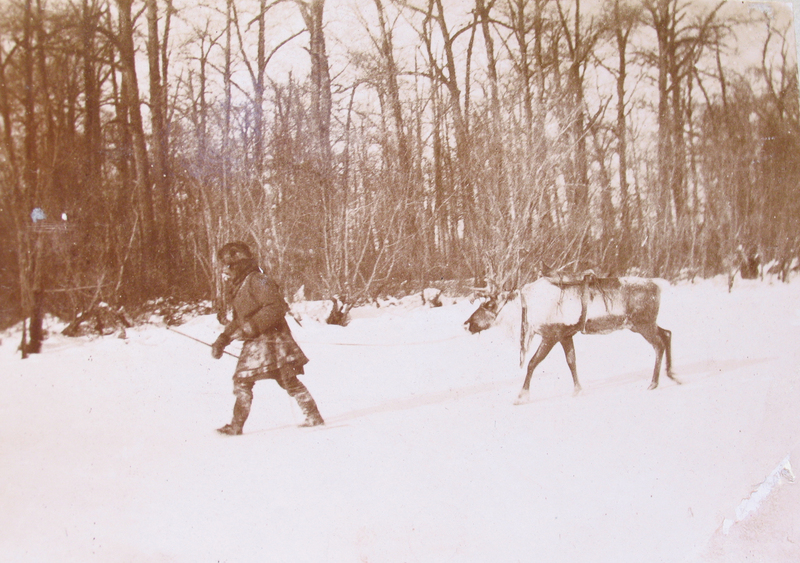 Tunguus oma põhjapõdraga