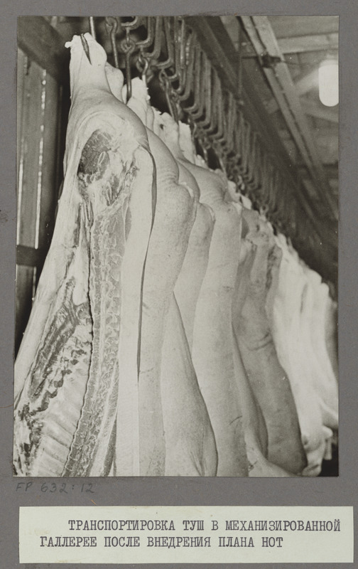 Tartu Lihakombinaat. Liha transport galerii kaudu pärast töö teaduslikku organiseerimist