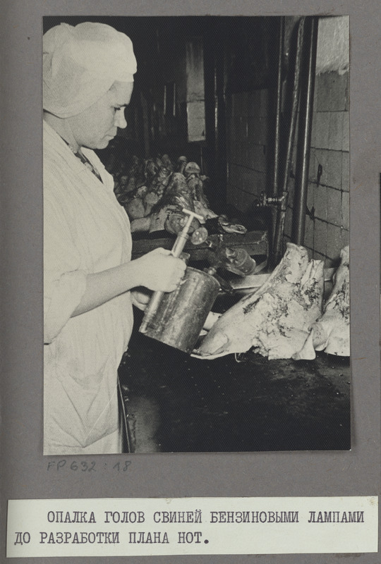 Tartu Lihakombinaat. Seapeade kõrvetamine bensiinilampidega enne TTO plaani juurutamist