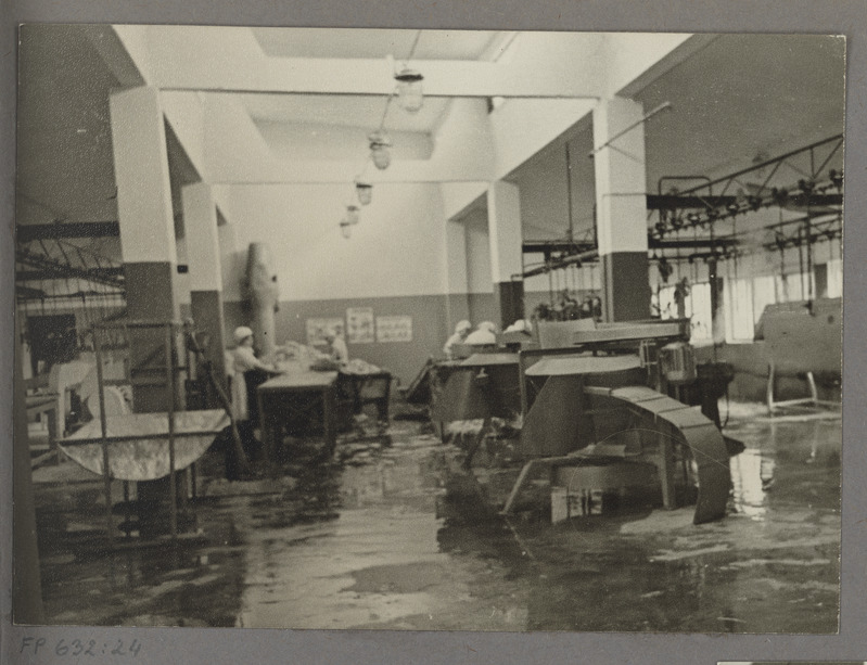 Tartu Lihakombinaat. Eeskujulikult organiseeritud töökohad