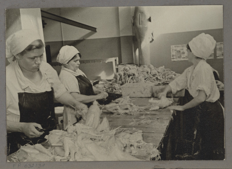 Tartu Lihakombinaat. Eeskujulikult organiseeritud töökohad lindude esmaseks töötlemiseks