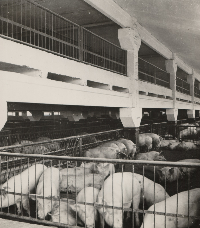 Eesti Loomakasvatuse ja Veterinaaria Teadusliku - Ajapaik