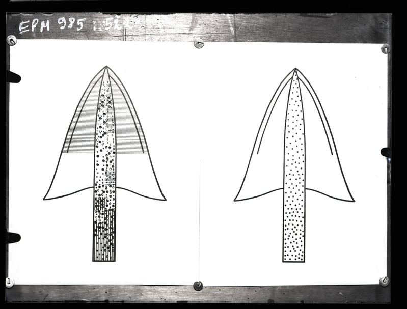Üraskite dendrogrammid