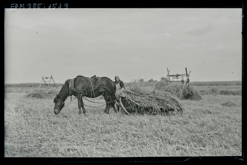 Odra kokkupanek Raadil