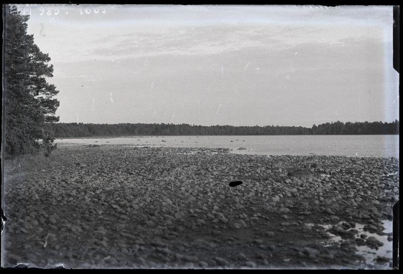 Kuusnõmme Suursilm