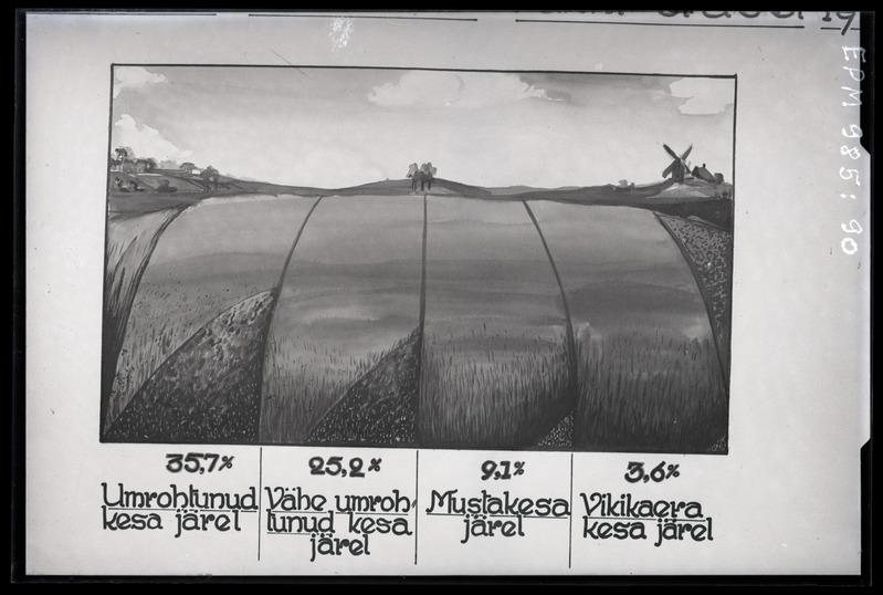 Agrotis segetum (oraseöölane, rukkiuss)