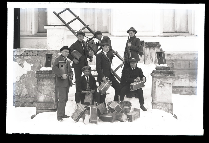 Kuldnoka (Sturnus vulgaris) pesakoobaste ülesseadjad Raadil
