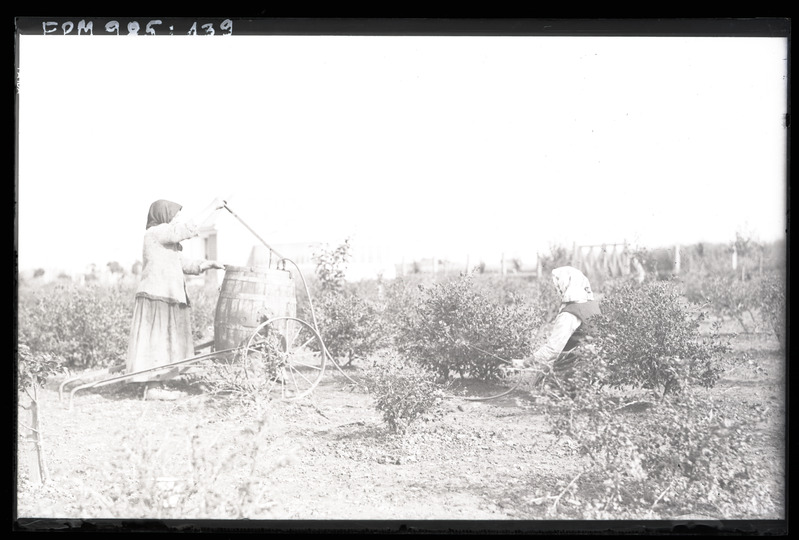 Karusmarja pritsimine