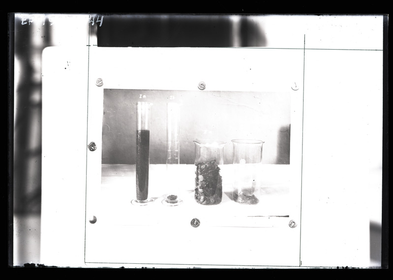 Väljaheidete ja toidujäänuste hulk enne ja pärast tolmutamist