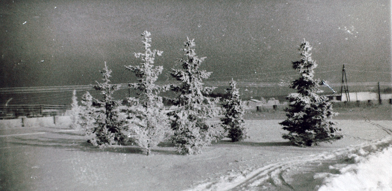 Talvine Saku asula