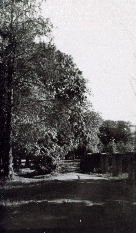 Saku park