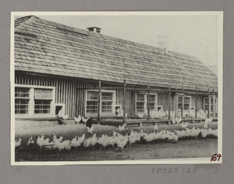 Selektsioonkanala 800 kanale