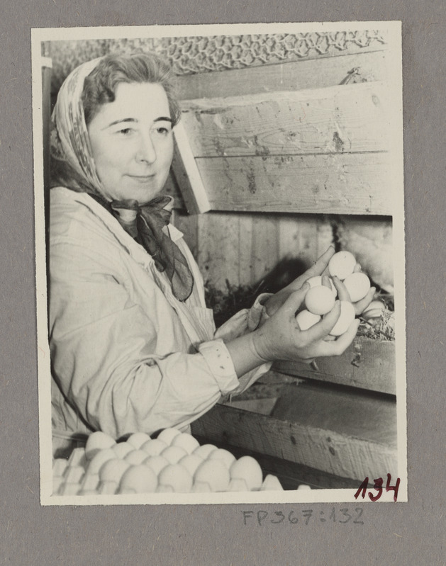 Peasakastidest mune kogumas