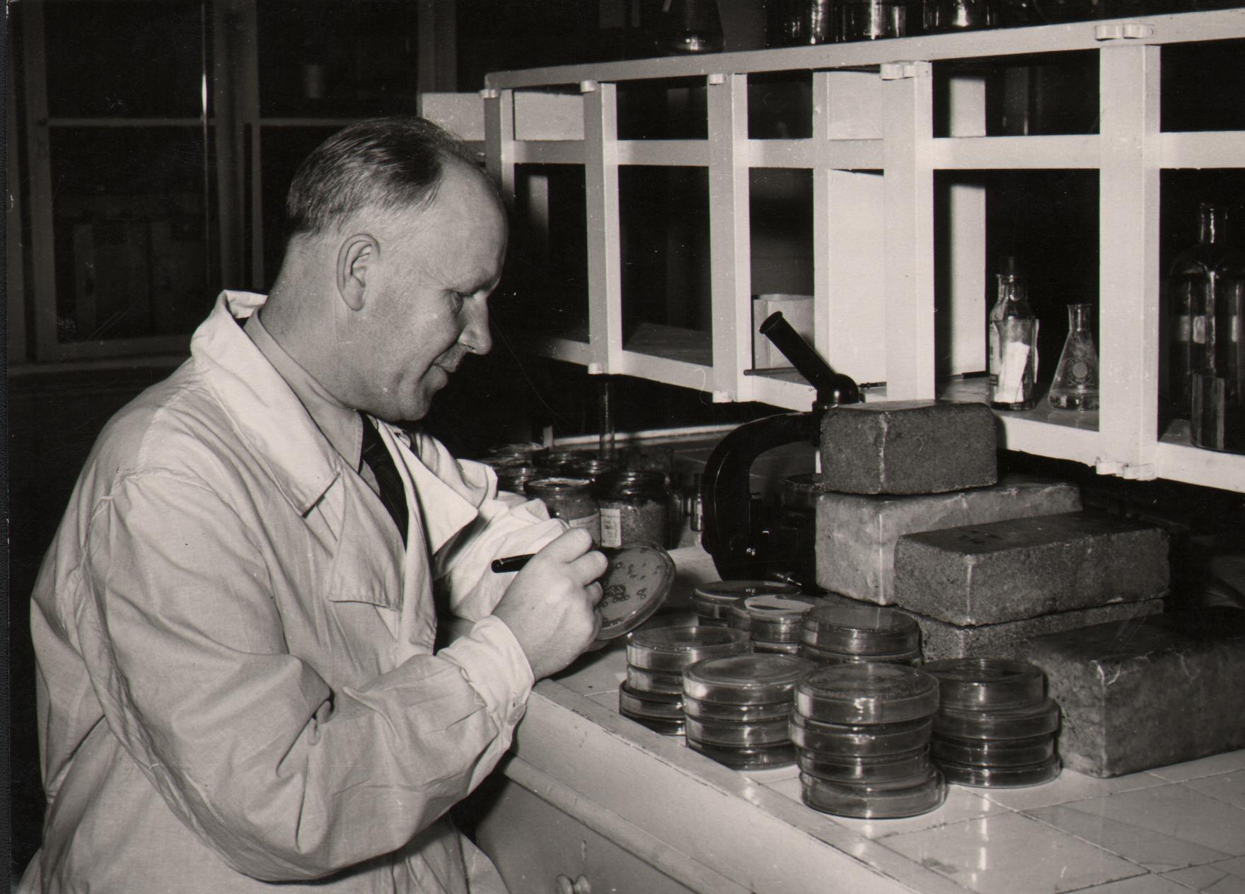 Tartu EPA vanem õpetaja Jaan Klaar tahket silobaktermassi kontrollimas