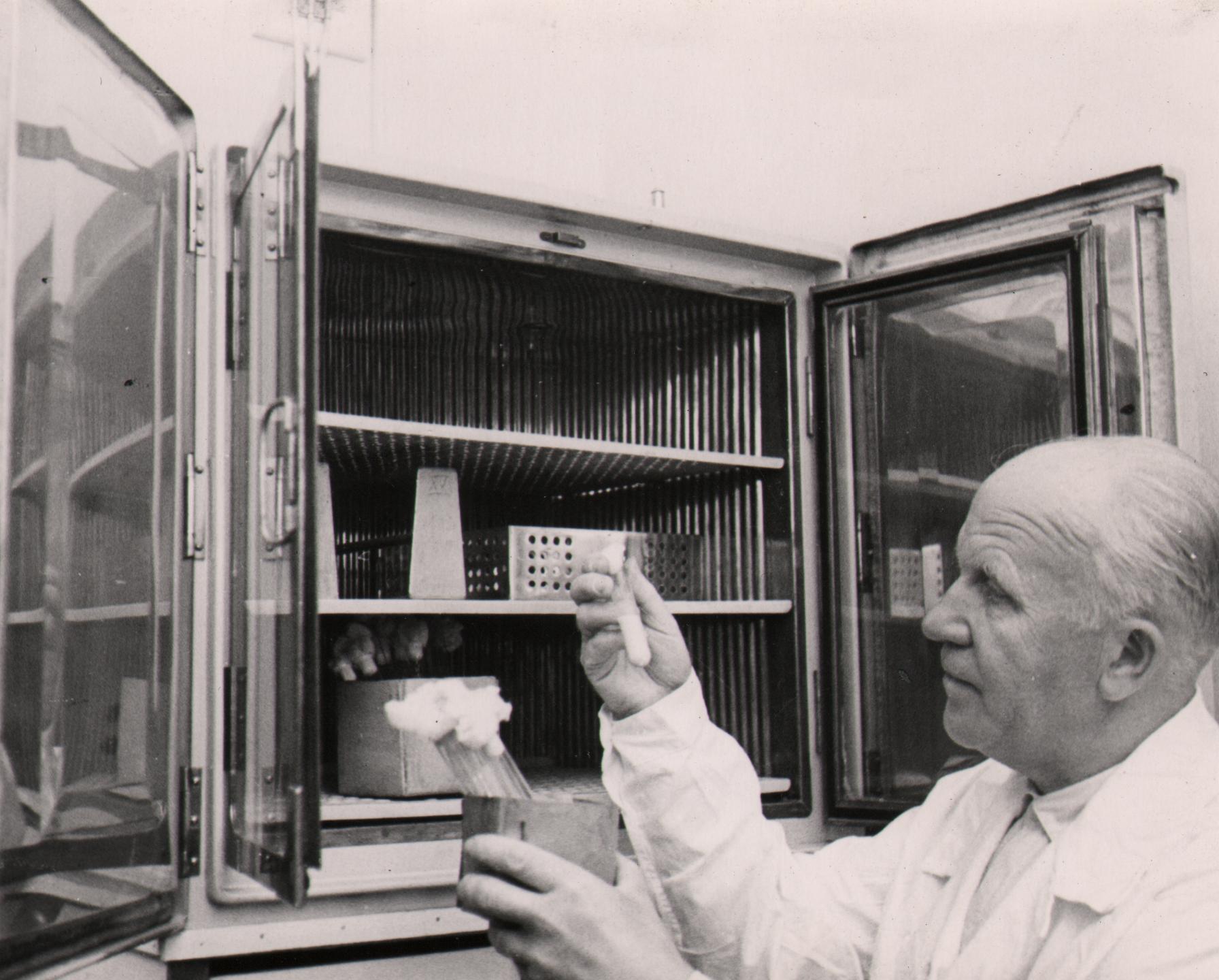 EPA vanem õpetaja Jaan Klaar piimanduse laboris