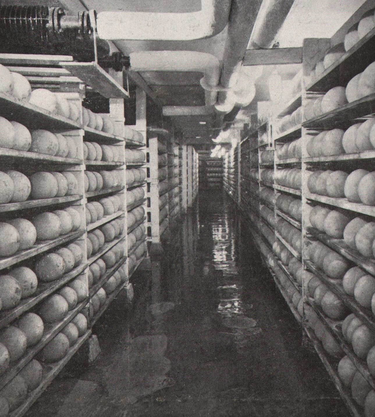 Edami (Hollandi kera) juustu laagerdus ladu