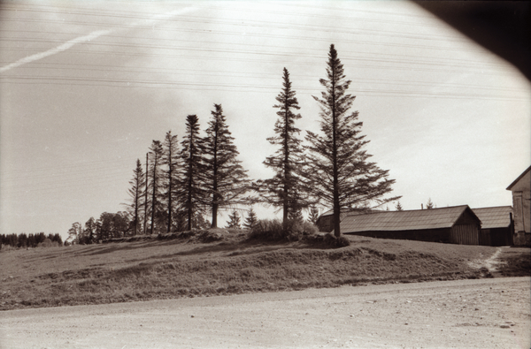 Poola-aegse kloostri ase Holstres (Paistu khk), 1971; ERA, Foto 9880 (ERA-14139-69488-67011)