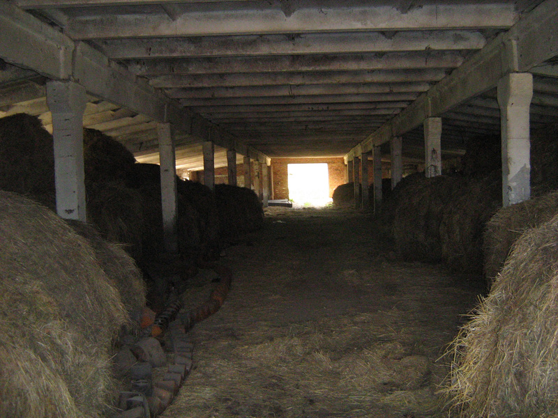 Heinahoidla Vambola külas. Tomski oblasti Zõrjanski rajooni eesti asundus Vambola