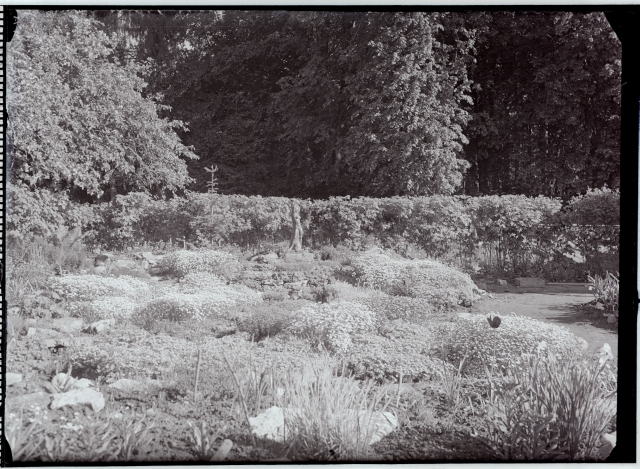 Rudolf Tamme iluaed Anton Starkopfi skulptuuriga